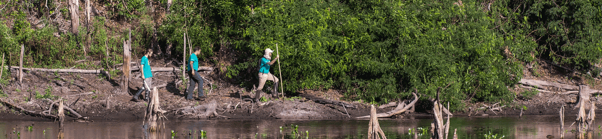 Fieldwork